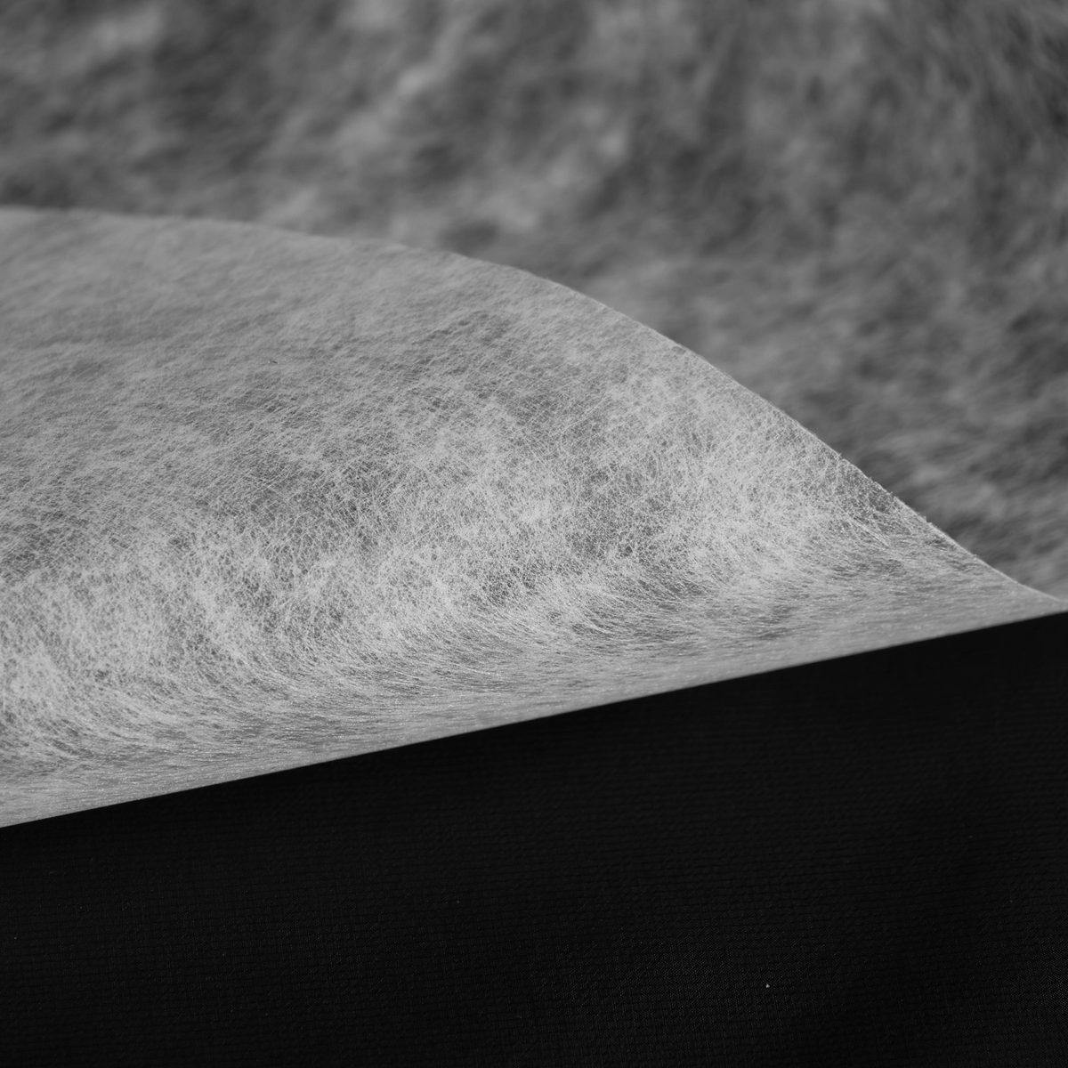 IMG_2659-已增强-降噪