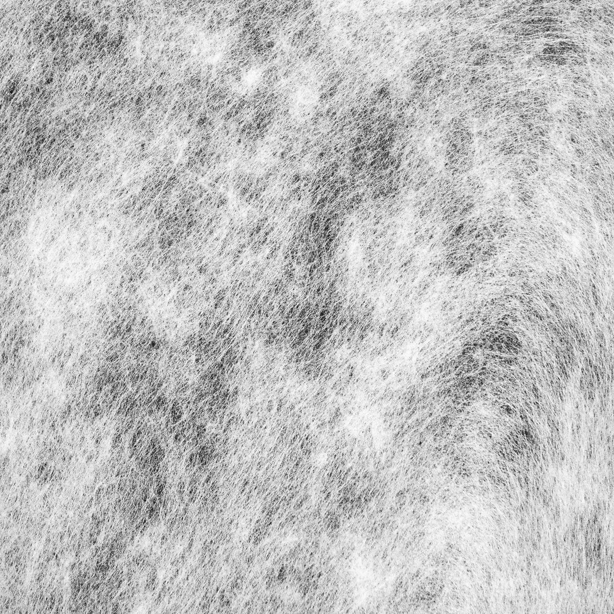 IMG_2669-已增强-降噪